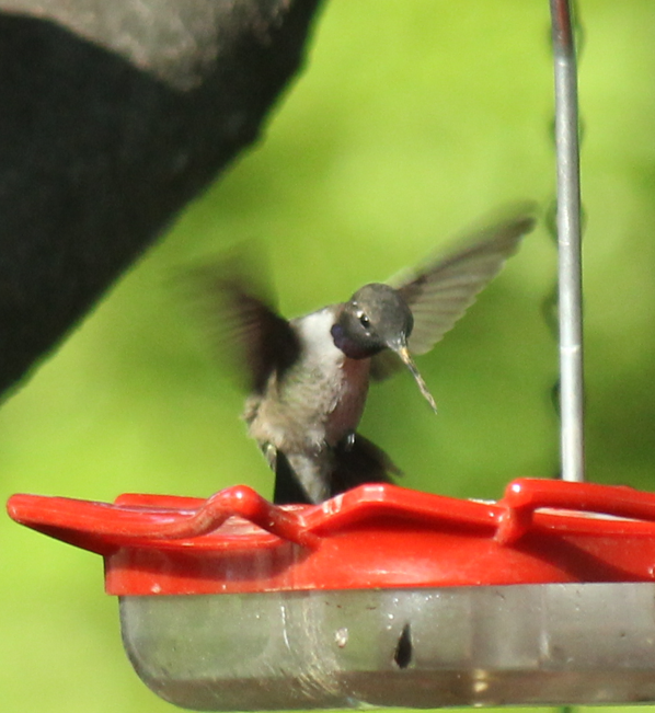 Mark Nau (@mark_nau) on Twitter photo 