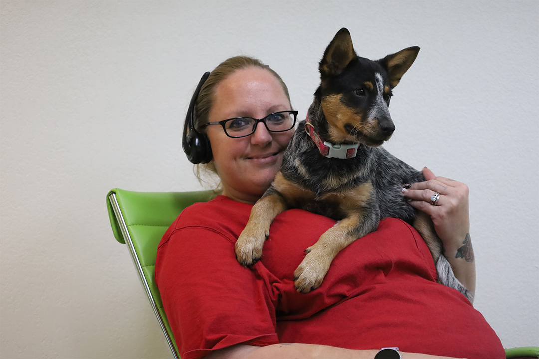 RobinsPlumbing's tweet photo. Monique and Lulu are 2/3 of our awesome #team in dispatch
#localfirstaz #phoenixplumbers #glendaleplumbers https://t.co/9urm5KMHMc