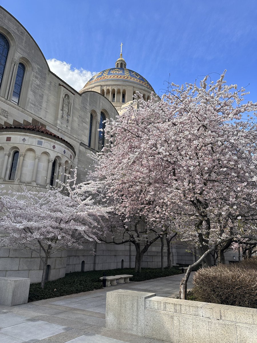 GregMiller_CatholicUniv tweet media