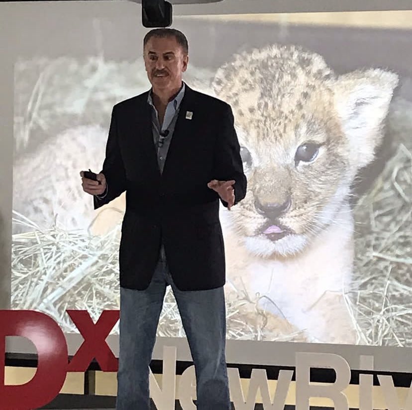 Ron Magill from the Miami Zoo on Anthropomorphism: 
“We protect what we love, we love what we understand, we understand what we learn.” <a href="/DELPHI_neo/">Delphi Innovation</a> <a href="/nicupodcast/">The Incubator Podcast</a> <a href="/DoctorDaphnaMd/">Daphna Yasova Barbeau, MD</a> <a href="/drnicu/">Ben Courchia MD</a> Long life to Delphi Conference, so we can keep learning, understanding, protecting and loving.