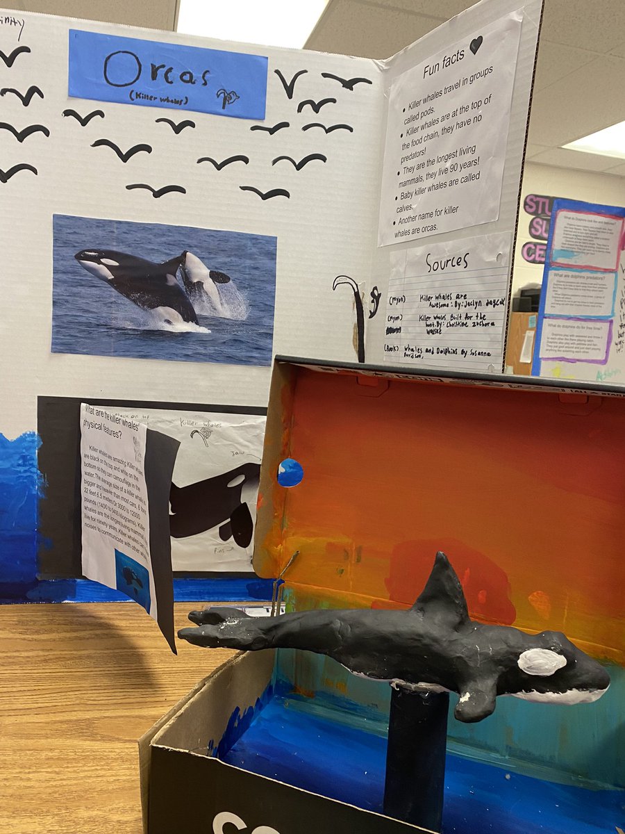 ehmukai's tweet photo. I just visited the best museum @BrookfieldES! Fourth graders designed amazing exhibits and shared the research they did on weather, habitats, historical events, and more! https://t.co/sfGn4p08pw
