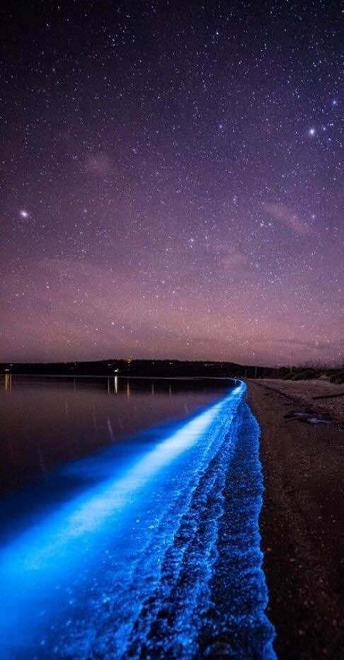 Amazing night #nature #amazing #night