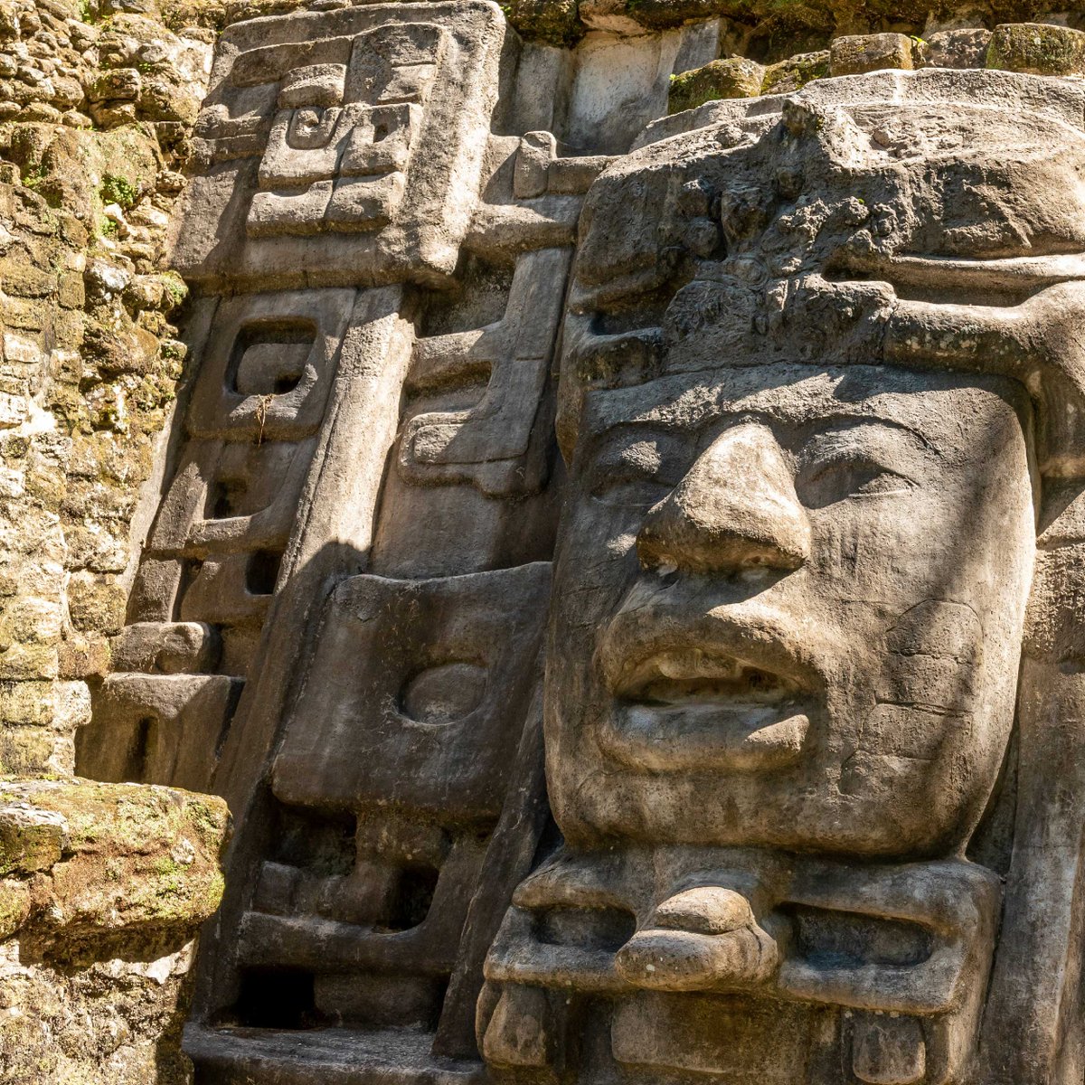 Belize Dive Haven tweet media