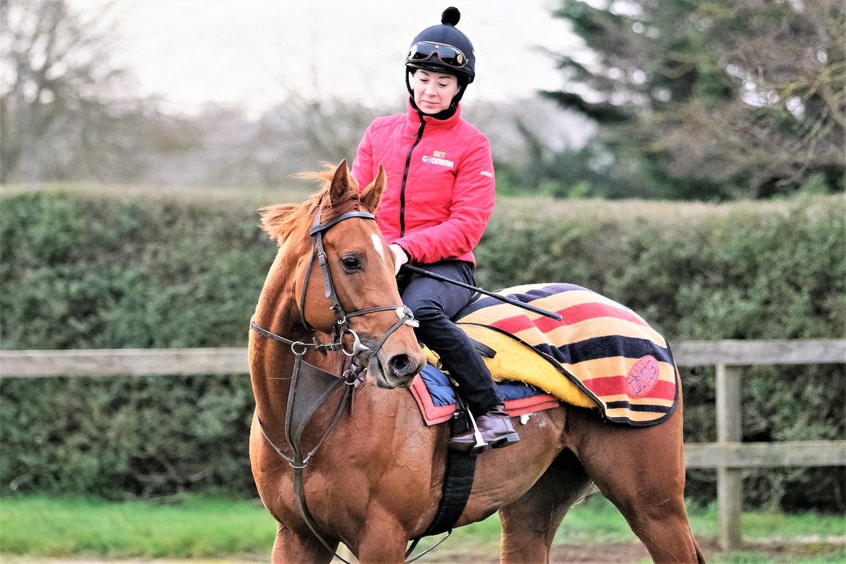 SimcockRacing's tweet photo. RESTRICT 🌟WINS🌟(3yo c Collected USA - Short Squeeze USA) the 7f Handicap @kemptonparkrace under @Hayleyturner123 for SAEED BIN MOHAMMED AL QASSIMI @sbmalqassimi & @SimcockRacing #AlBasti #AlBastiEquiworldDubai https://t.co/qLsOfPlKYf