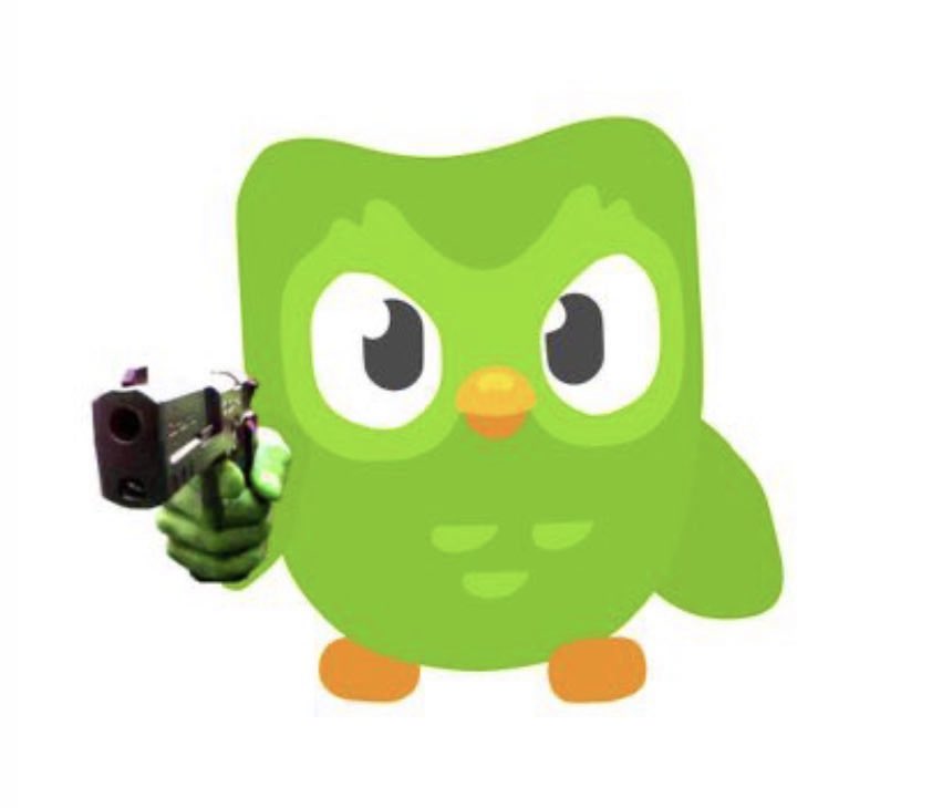 Finita_gambita's tweet photo. Моя сова из Duolingo, когда время уже 23:50, а ещё не занимался сегодня https://t.co/l97a8fbNul