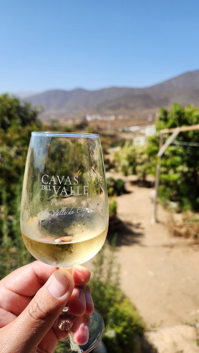 El de 31!!! tweet media