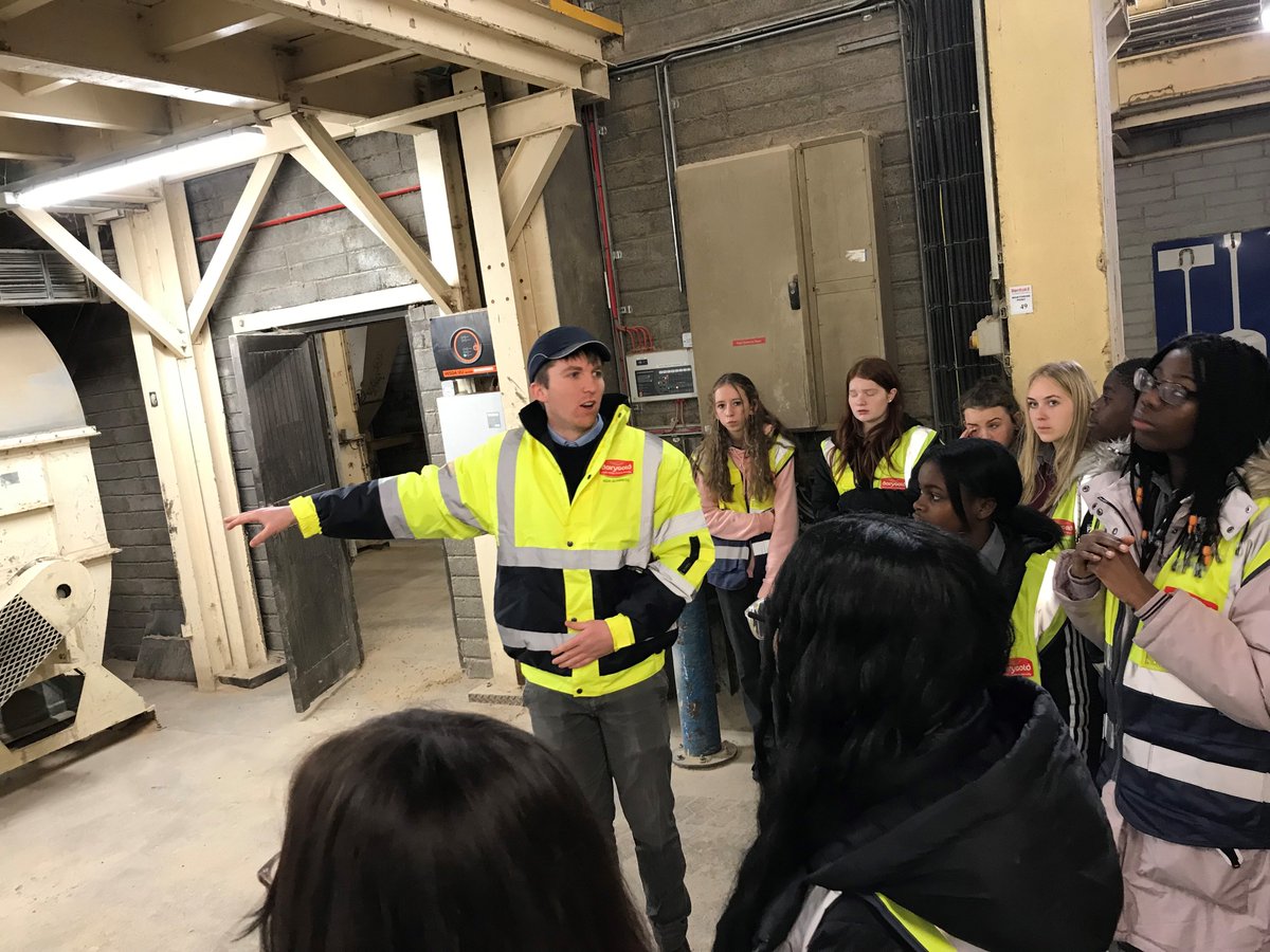 celine mcgrath tweet media