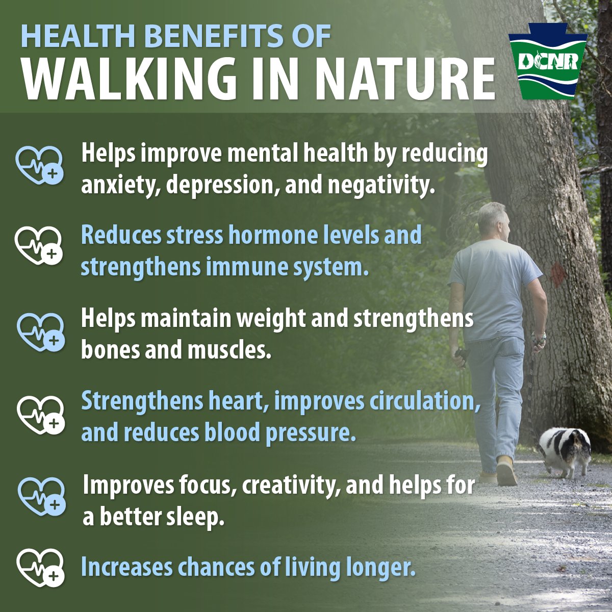 Tomorrow is #TakeAWalkInTheParkDay and we hope you celebrate! Walking in nature provides greater health benefits than just walking on a treadmill or on the street. While walking reduces the risk of chronic disease, walking in a green space also boosts happiness and lowers stress!