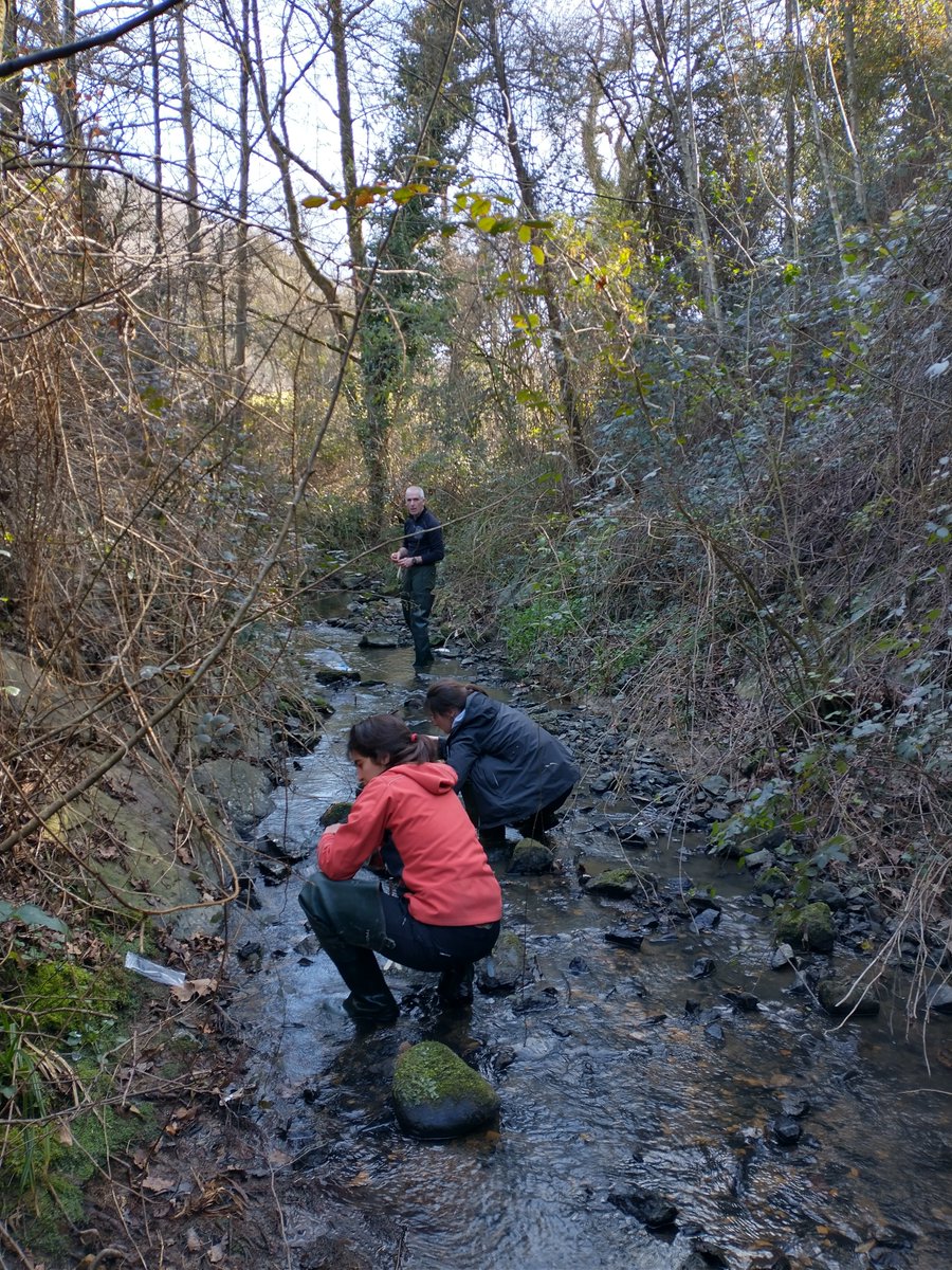 EhuStream's tweet photo. Today we are introducing the #Citypoll project, a coordinated project between
@IcraWater @UniBarcelona and @upvehu funded by @CienciaGob. https://t.co/rU1KkUGNfz