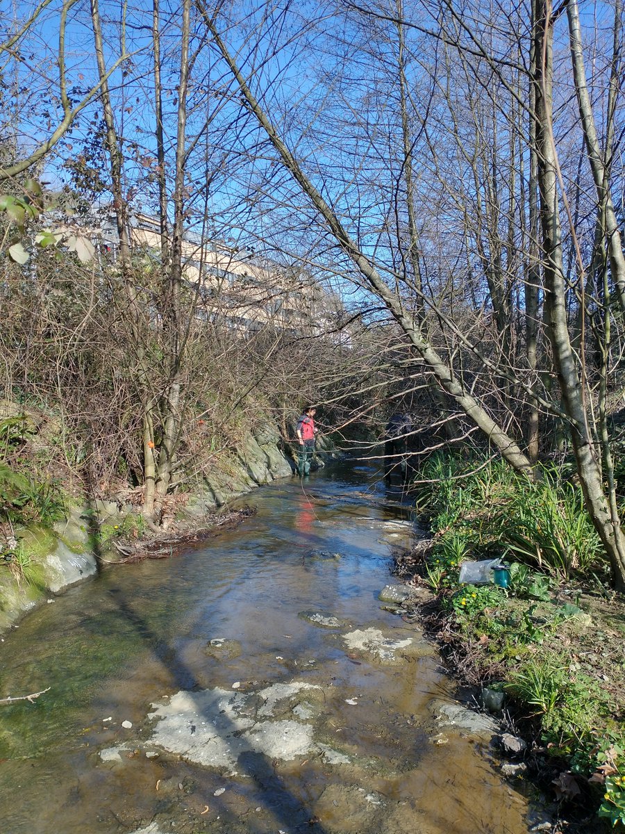 EhuStream's tweet photo. Today we are introducing the #Citypoll project, a coordinated project between
@IcraWater @UniBarcelona and @upvehu funded by @CienciaGob. https://t.co/rU1KkUGNfz