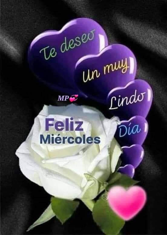 VeRoV_Q's tweet photo. Buenos días https://t.co/3tRGejpwr9