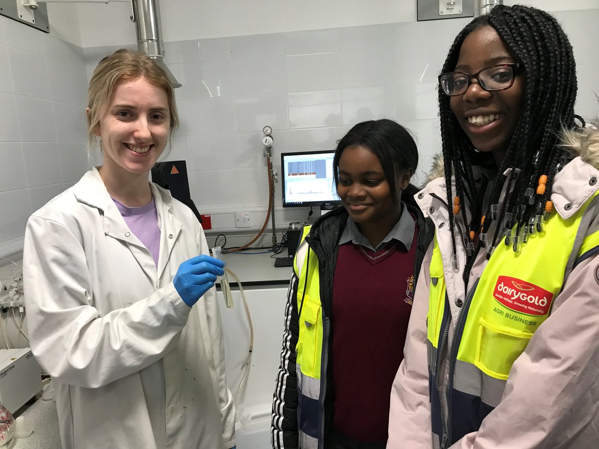 celine mcgrath tweet media