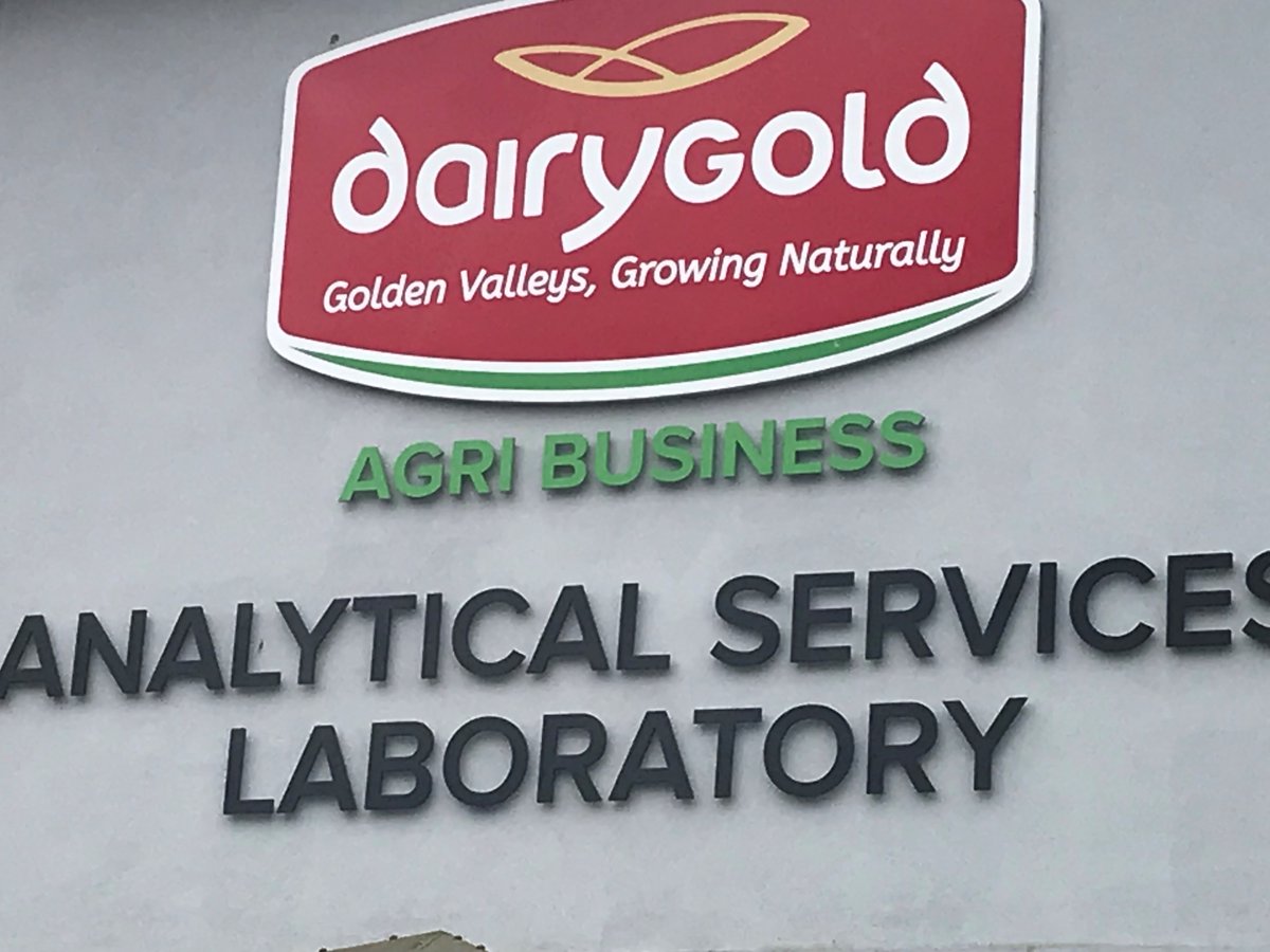 celine mcgrath tweet media