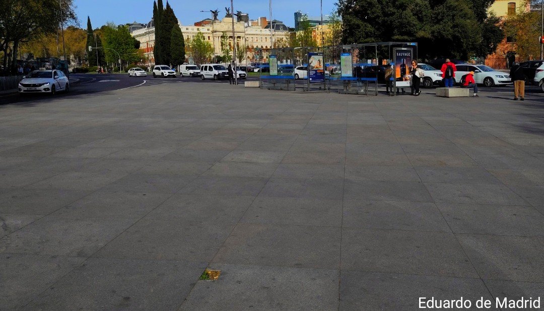 demadrideduardo's tweet photo. Por fin, una zona verde en el solarium de Atocha https://t.co/3jqaV6VzzV
