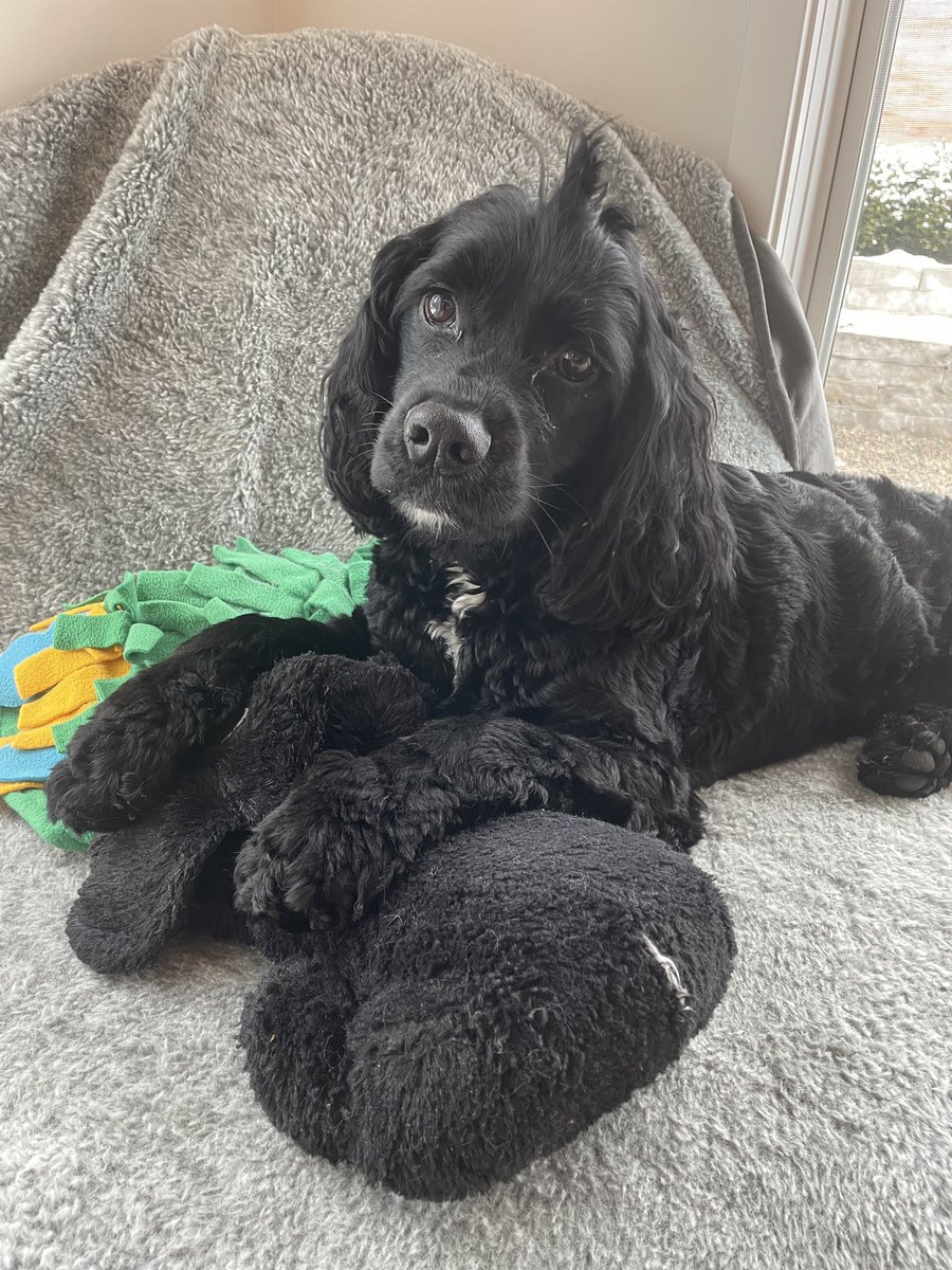 Linh Song tweet media