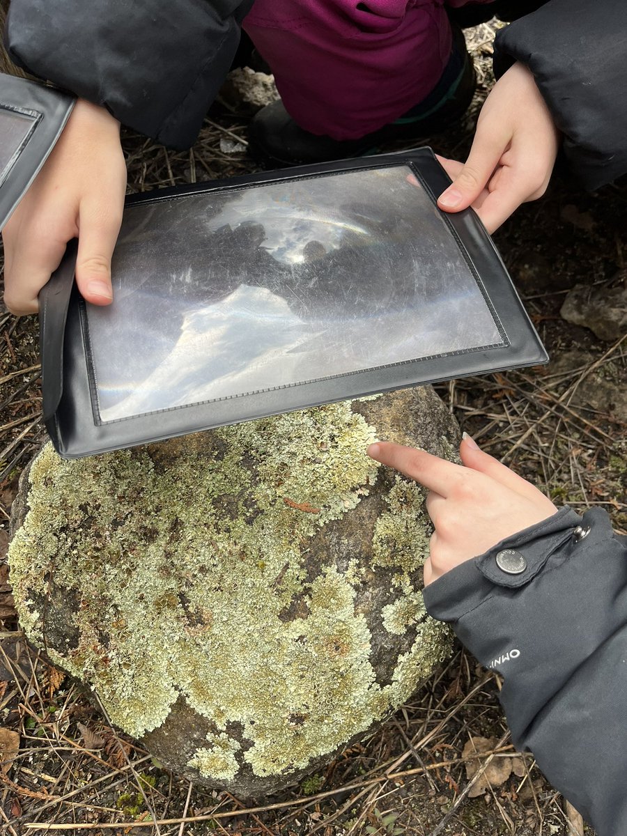 With the melting snow, so many cool things to discover on the trail! <a href="/TOES_TDSB/">TOES_TDSB</a> <a href="/LC3_TDSB/">TDSB LC3</a>