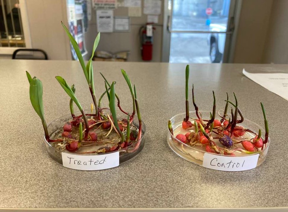 StateLine Coop tweet media