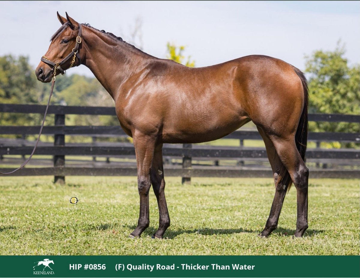 Kathie Roller-Stell tweet media