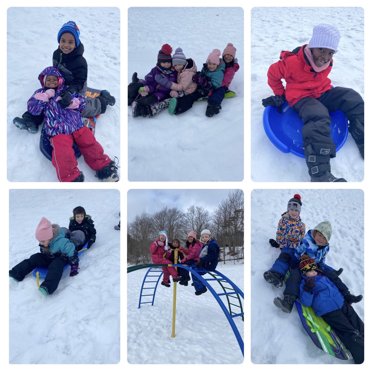 Ms. Hickey tweet media