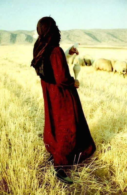 Dilom_canom's tweet photo. Dağlar  sözüm var sana #Duy sesimi #Sitemim sana yol bekler, #Gözüm yollarda #Gelmez oldu 

#canom... https://t.co/DUwRS70nNJ