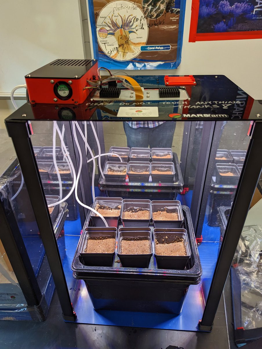 Chris Speck, NBCT tweet media