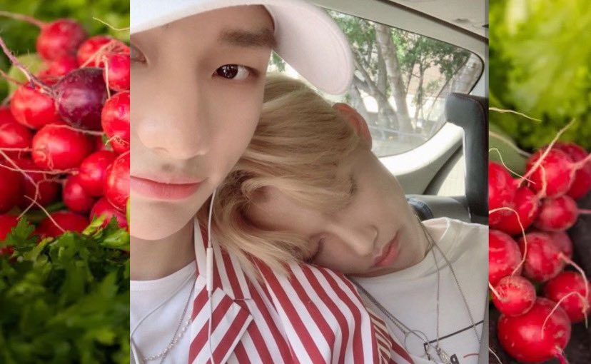 #hyunlix!au, в которой хенджин - продавец редиса, а феликс просто прогуливался по базару.