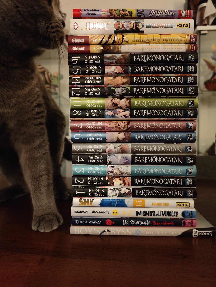 LittleBigDam's tweet photo. #Deballing du jour, de bas en haut :
- #Kodablog
- #Kodokaz
- #Kodachats
- #Kogintama77brillant donc j'ai les tomes 1, 2 et 77.
- #Jojolion (mérite une catégorie à part)
Et à gauche c'est lo potichat 🤌🏻 https://t.co/ToGYml0YqJ