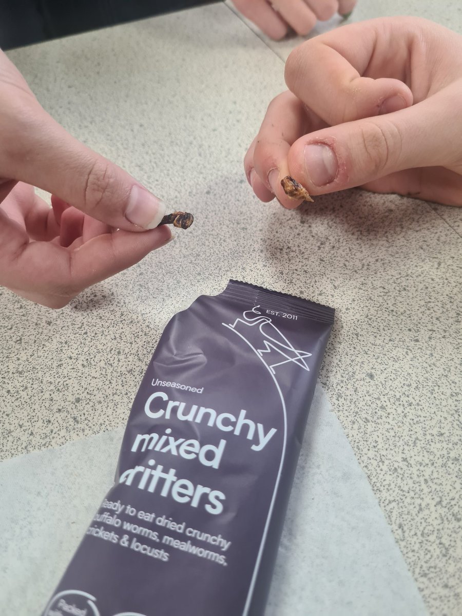 Today's lesson on food security involved a taste test #insectfood #futurefood not sure we have many converts from year11! @sydenhamhigh #fearnothing #gdst