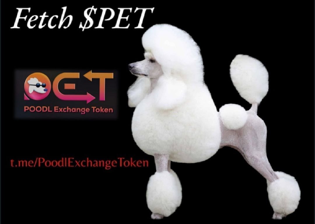 VeeV399's tweet image. 🤔same way you protect your assets! Protect your investments #SAFEDEX 

#POODL #PET $POODL $PET #BTC #POLY #ETH 
MULTI-CHAIN AGGREGATOR $PET  🐩💕

TO THE MOON, 🌚🚀LAUNCHING APRIL 2ND! 🔥👀🐩💕🚀