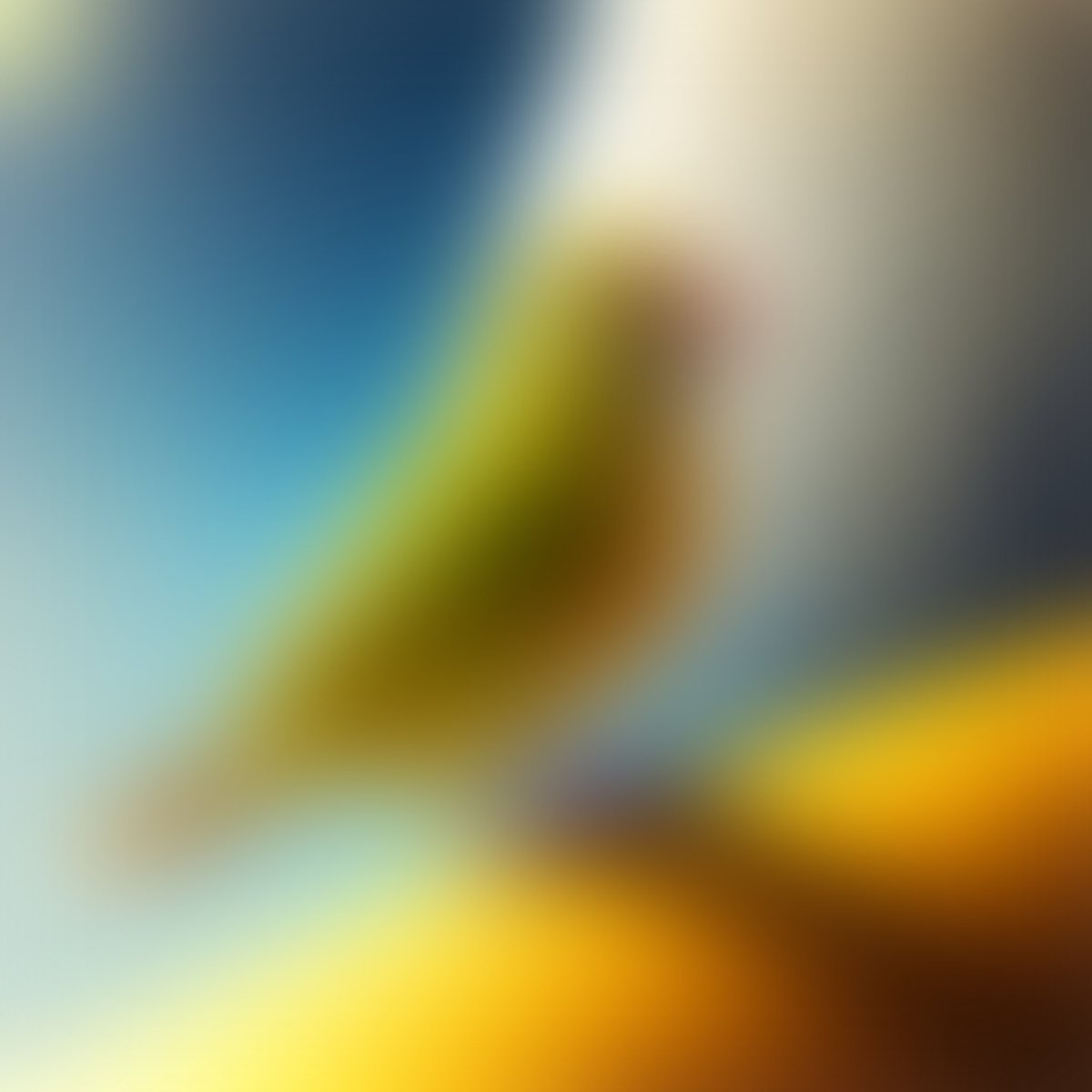 WaTi Sp0ngE BoBinks tweet media