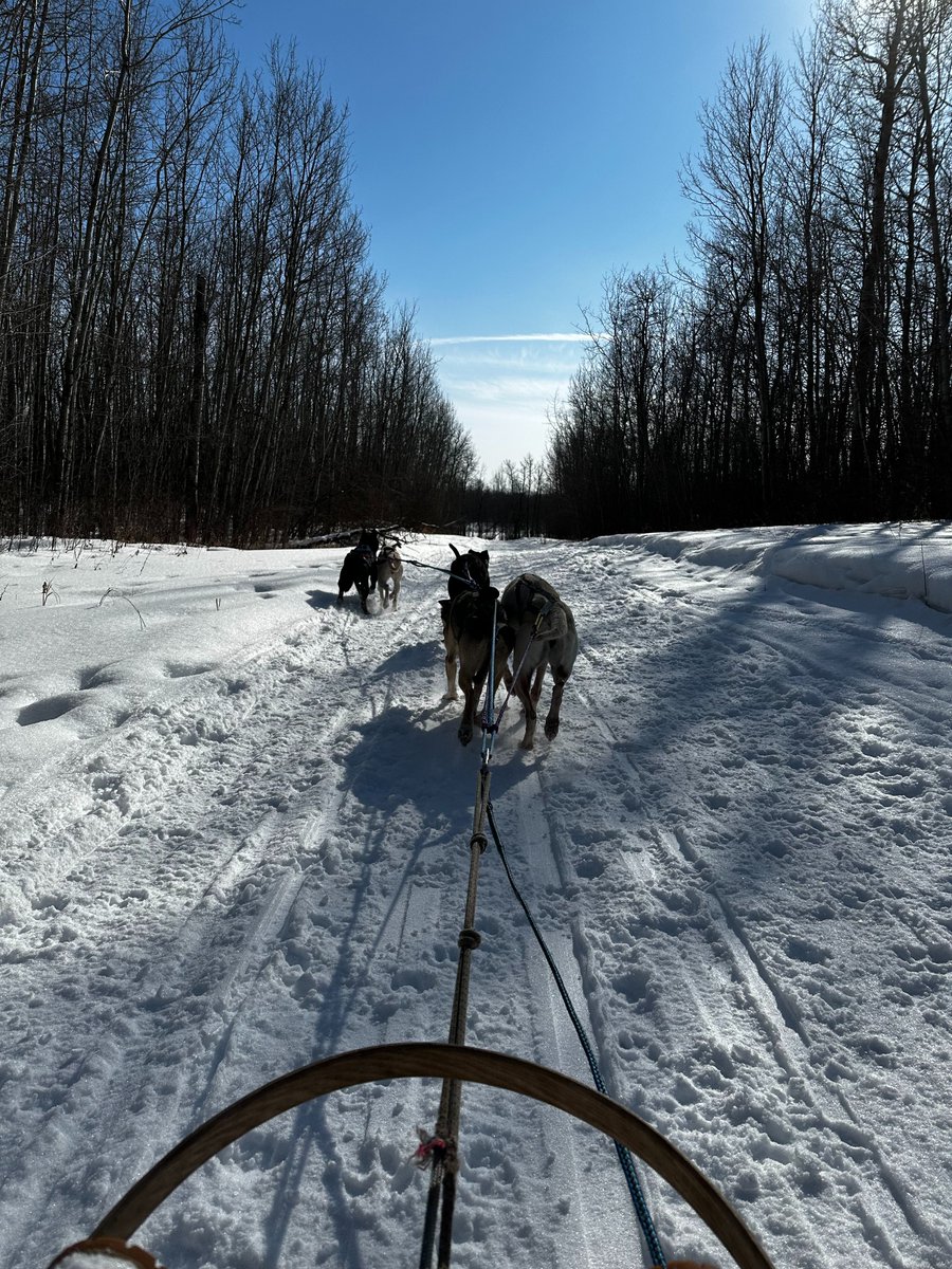 BHBiosphere's tweet photo. The @BHBiosphere was proud to host @IKWC1 earlier this month at #BlackfootCookingLake for a #dogsledding event! 🐾🐶 Participants enjoyed #crafts, #handgames, & other #snowactivities to fill out the day!
Join our #newsletter & follow our events page! https://t.co/jz10gYcm2U https://t.co/Cbs8Bfqi2a