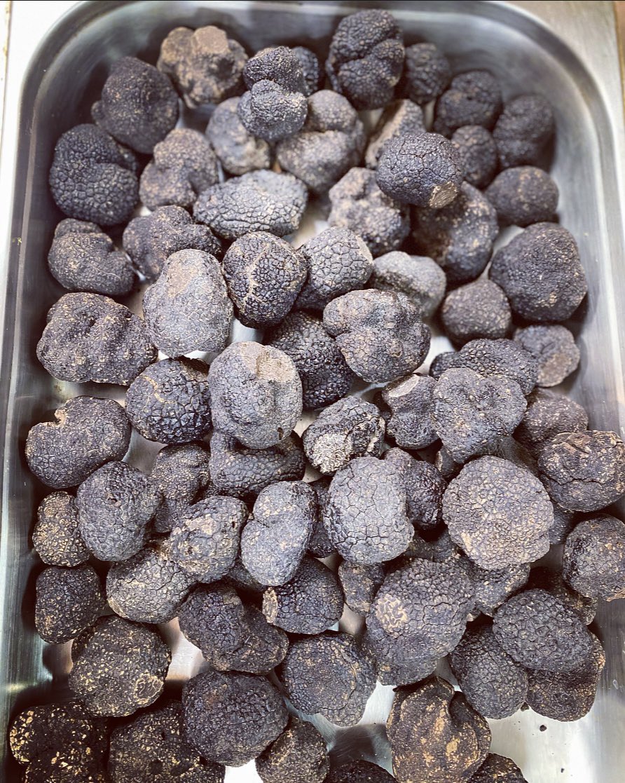 MarkDBirchall's tweet photo. Last of the season for preserving @restmoorhall
#restaurant #restaurantmoorhall #restaurantwithrooms #lunch #dinner #moorhall #moorhalllancashire #michelin #chef #Lancashire #food #foodphotograpy #OnTheTable #theartofplating #foodgram #provenance #wintertruffle https://t.co/gQsNsMxzdo