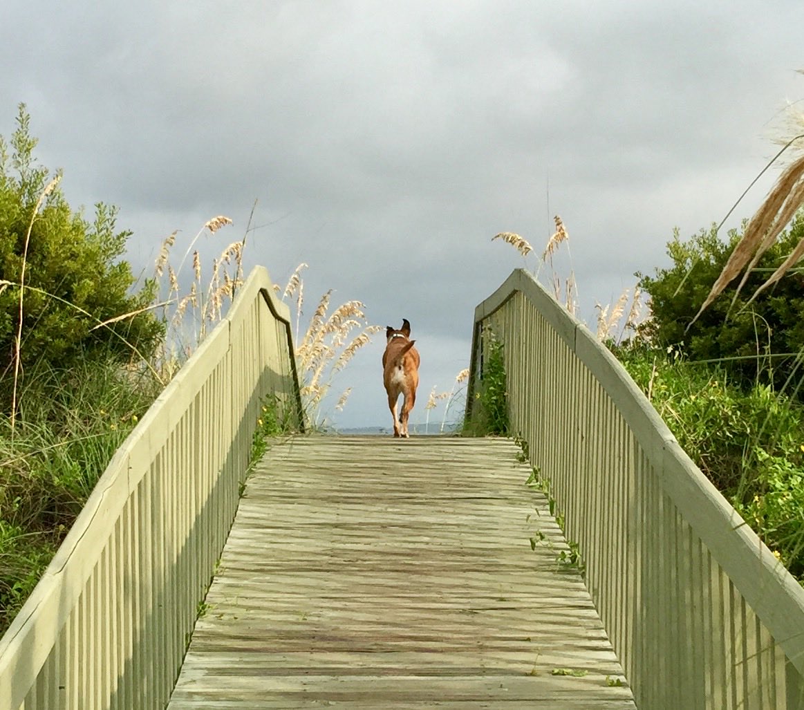 Patrick Skinner tweet media