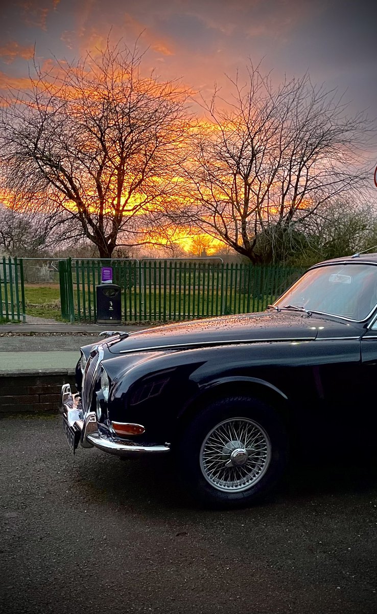 FalloonMark's tweet photo. My latest acquisition waiting to hit the road. #catisfaction #Jaguar #classiccars https://t.co/7woSUY1CBl
