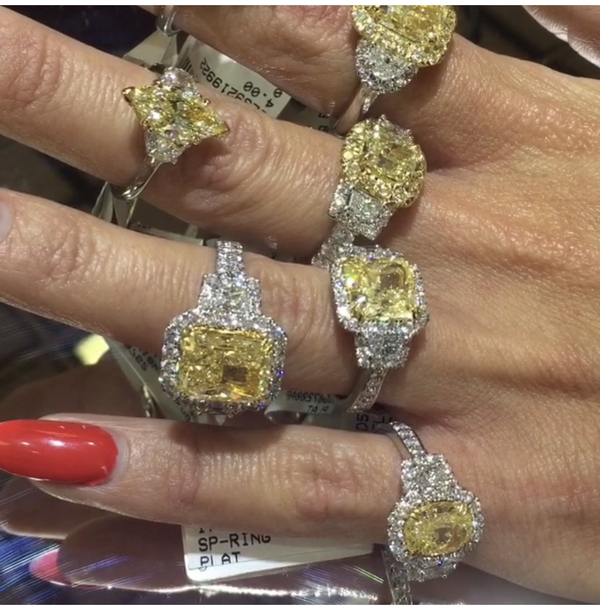 gnuggetjewelers's tweet photo. A little sunshine on this cloudy Tuesday #yellowdiamonds #bigdiamonds #Philadelphia #wherephillygetsengaged https://t.co/Bc8DdzqCzf