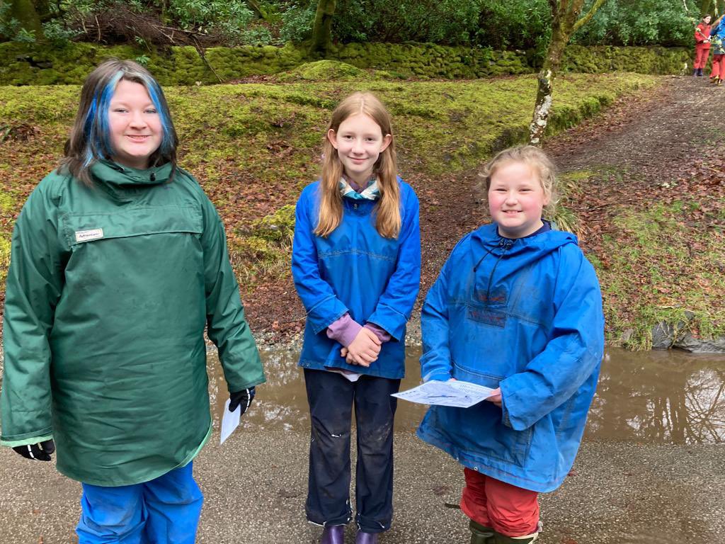 Kippen Primary tweet media