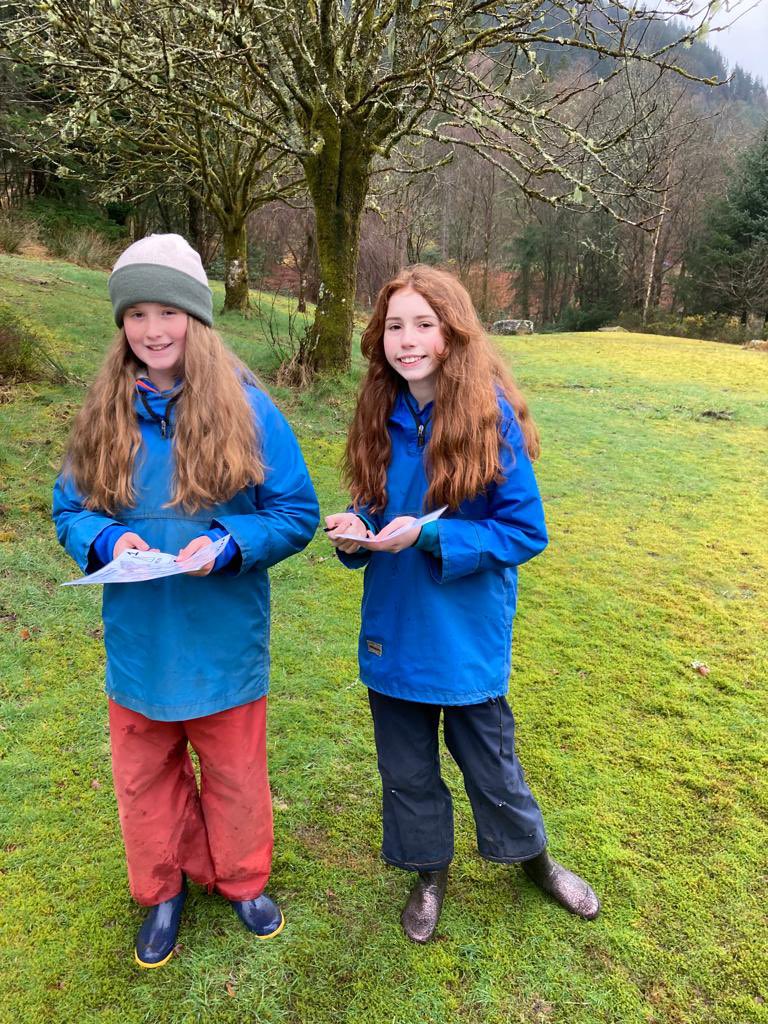 Kippen Primary tweet media