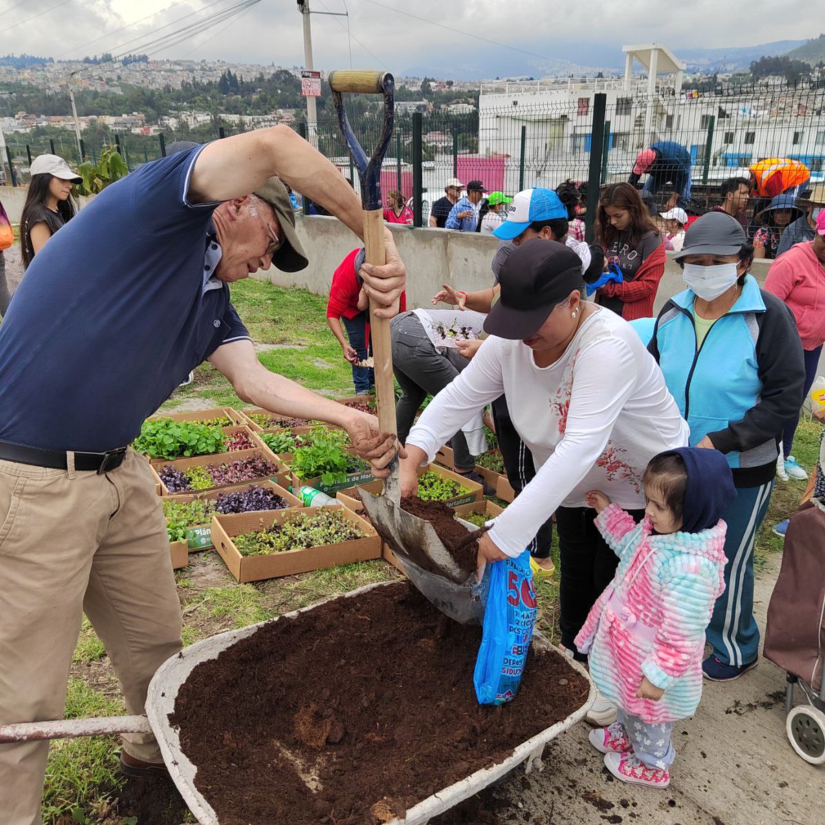 CBicentenarioEC's tweet photo. Gracias a la prefecta @PaolaPabonC prefecta de Pichincha por su generosa donación de plántulas, abono orgánico y biol para nuestros huertos en #CiudadBicentenario. Estamos emocionados de ver cómo crecerán nuestras plantas gracias a su apoyo. https://t.co/lm4AcGChnU