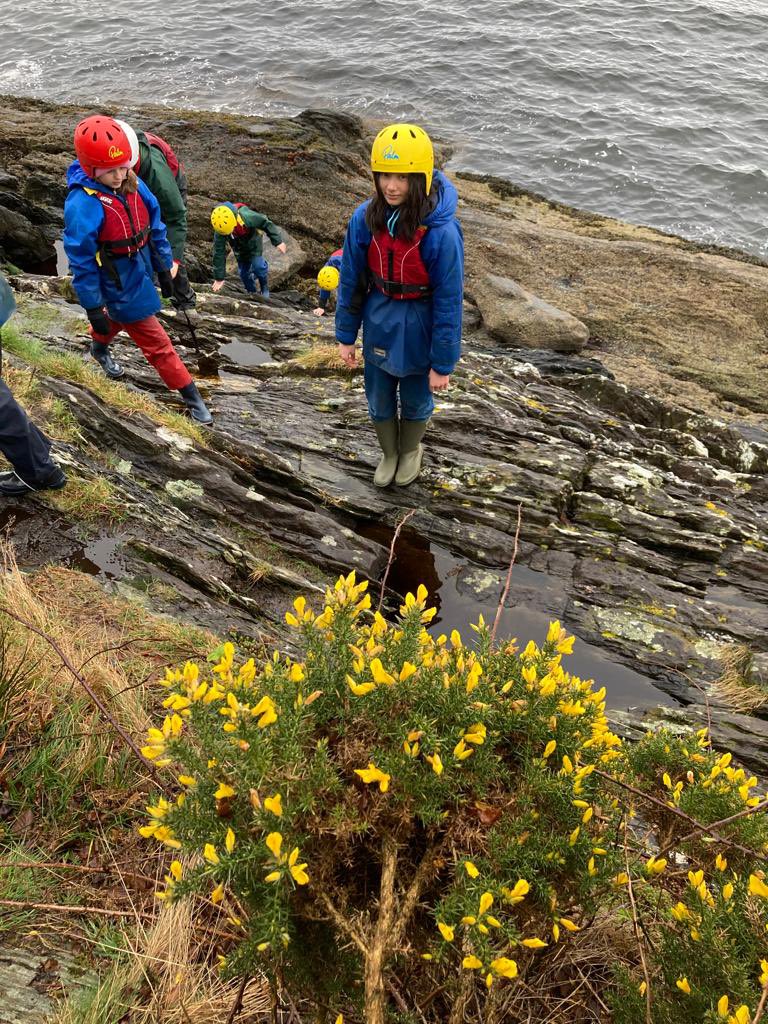 Kippen Primary tweet media