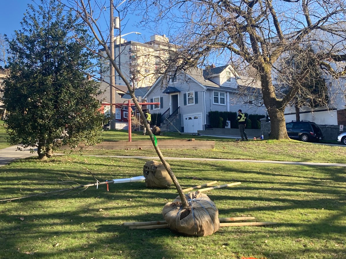 Queen Sandwich tweet media