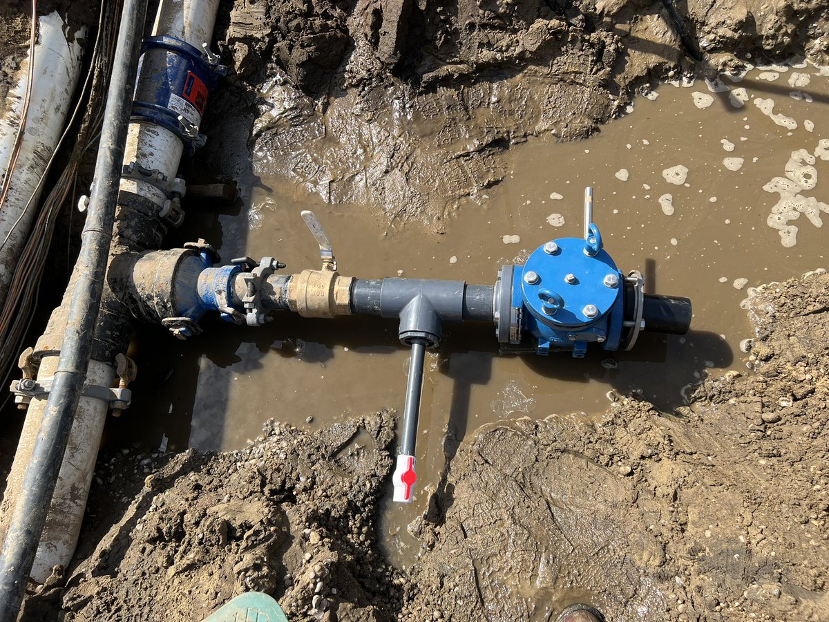 Michael Sheehan tweet media