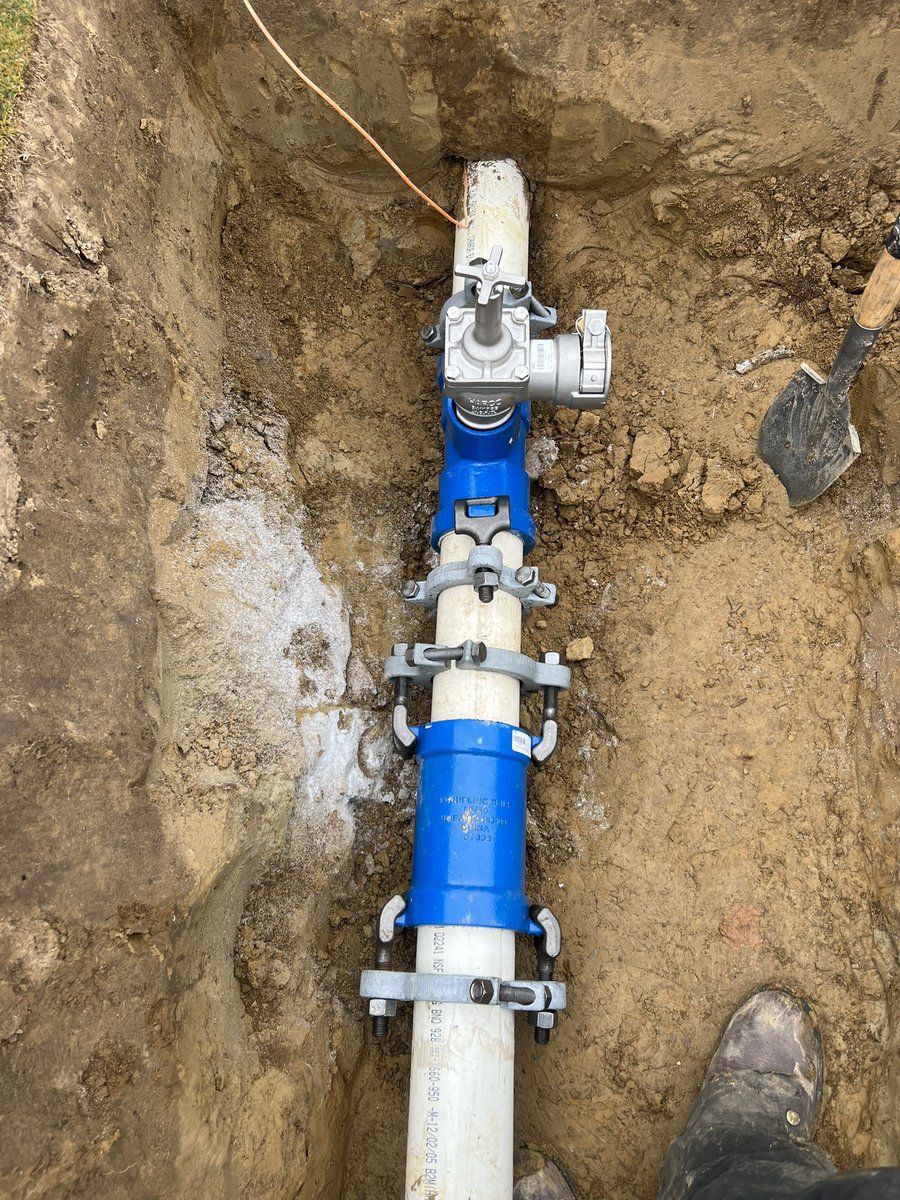 Michael Sheehan tweet media