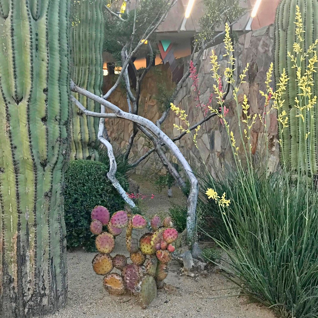 JSDesignBuild's tweet image. The Hotel Valley Ho is a true architectural gem, every design element is carefully curated to create a space that is both functional and beautiful. It's a constant source of inspiration.🌵
@HotelValleyHo