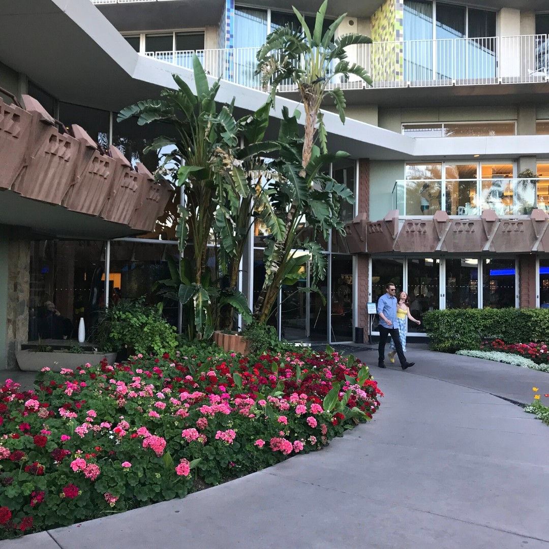 JSDesignBuild's tweet image. The Hotel Valley Ho is a true architectural gem, every design element is carefully curated to create a space that is both functional and beautiful. It's a constant source of inspiration.🌵
@HotelValleyHo