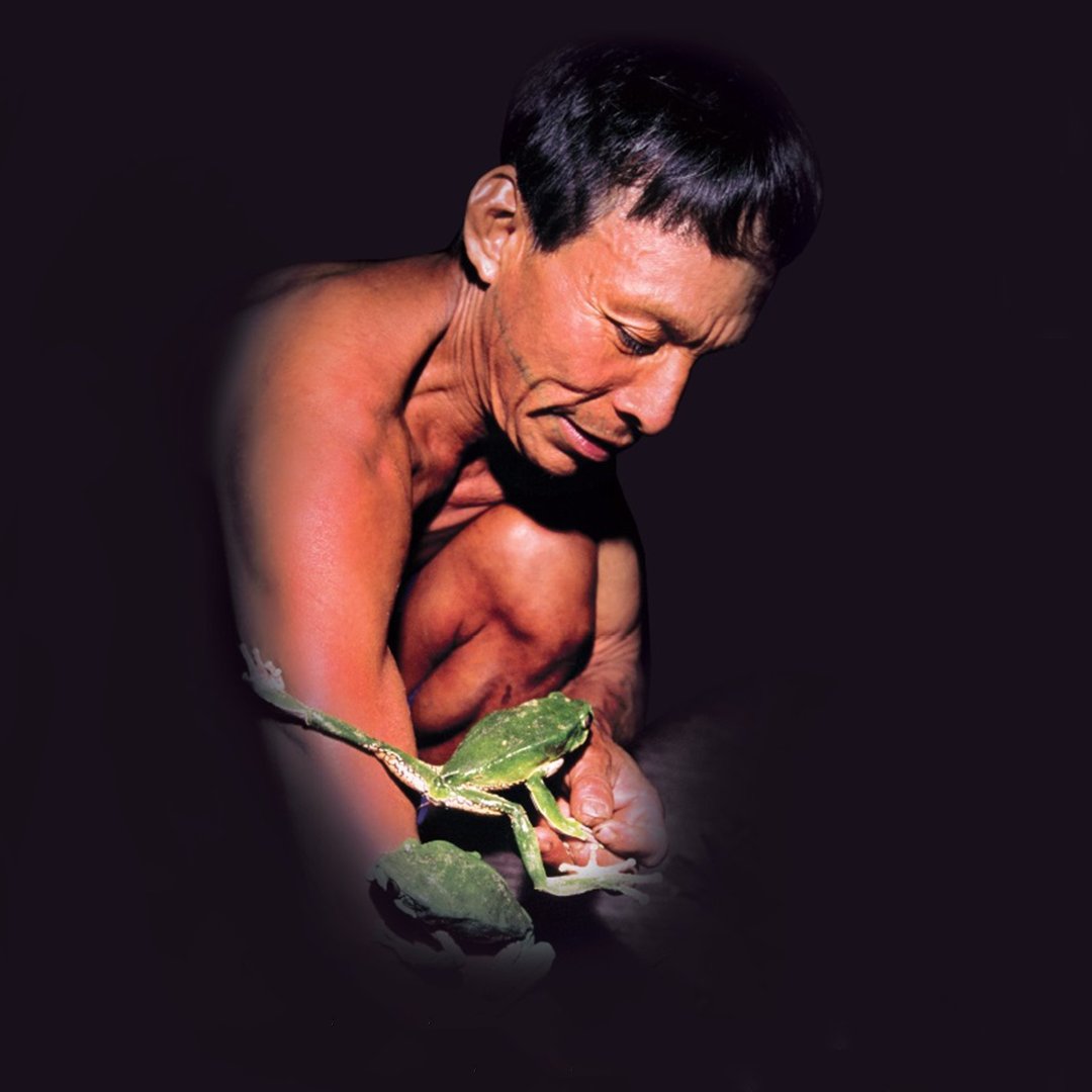 chirapaqoficial's tweet image. 🐸 ¿Alguna vez has escuchado o leído sobre el ritual de la resina de #sapo? Si conoces la ceremonia de #ayahuasca, probablemente te cause curiosidad este ritual también practicado por pueblos indígenas amazónicos. 

En este hilo conocerás más sobre este #SaberAncestral 👇🏾 1/20