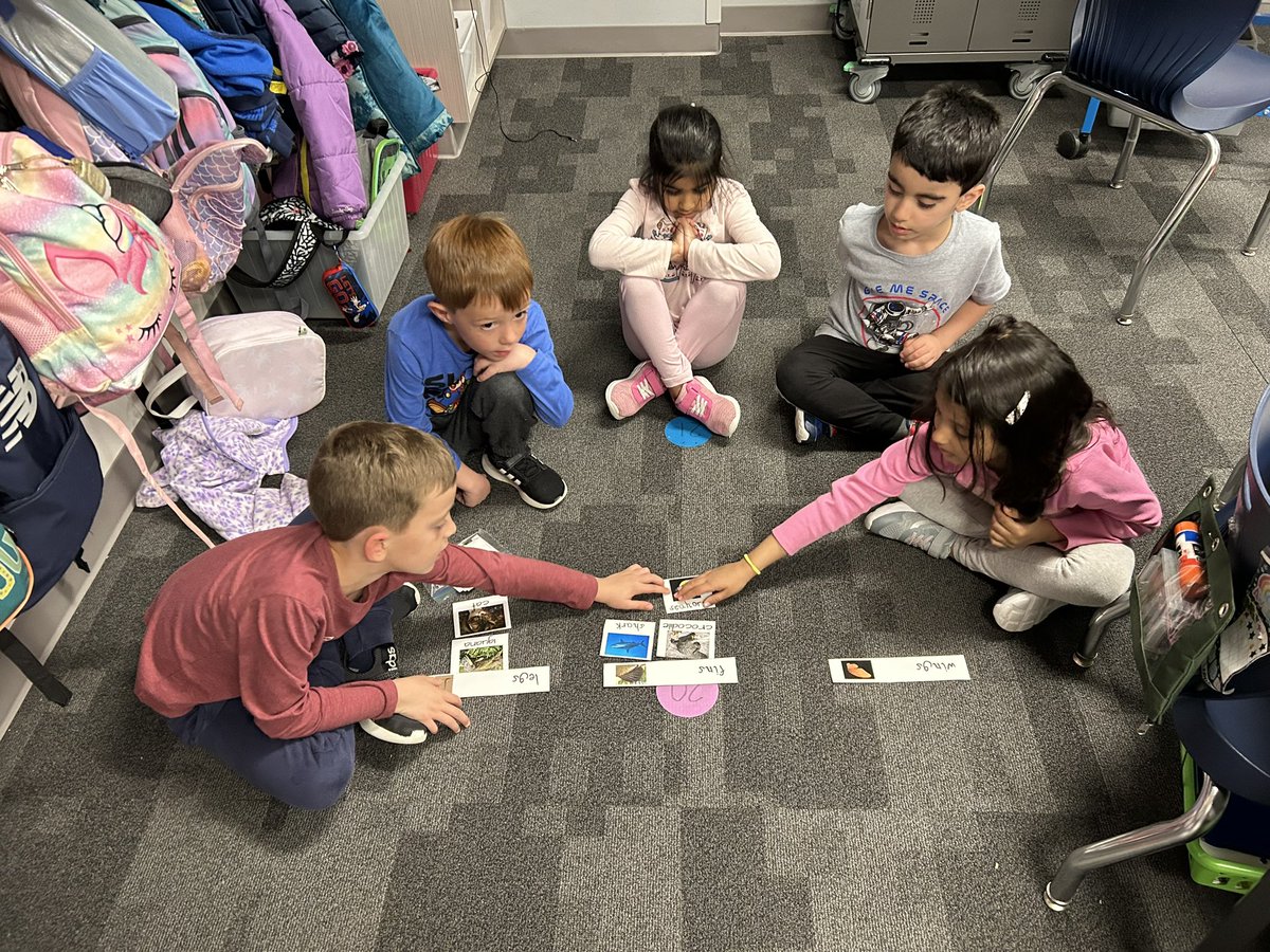 Today we sorted animals by their body parts. #20yearsME <a href="/MarionMavericks/">Marion Mavericks</a>