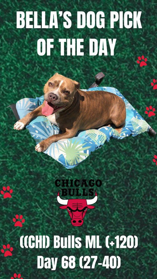 TheLocksOTD's tweet photo. 🐶BELLA'S DOG LOCK OTD🐶
‼️Overall Units +1560‼️
🔥BELLA IS HOT🔥
🏀(CHI)Bulls ML (+120)
#nba #nbapick #nbapicks #chicago #bulls #nbaslate #freepick #freebet #betting #gamblingtwitter #prizepicks #basketball #moneyline #dog #dogs #bella #dogpick #dogbet #doggy #AB #locks #A https://t.co/A4P6NmmXRP