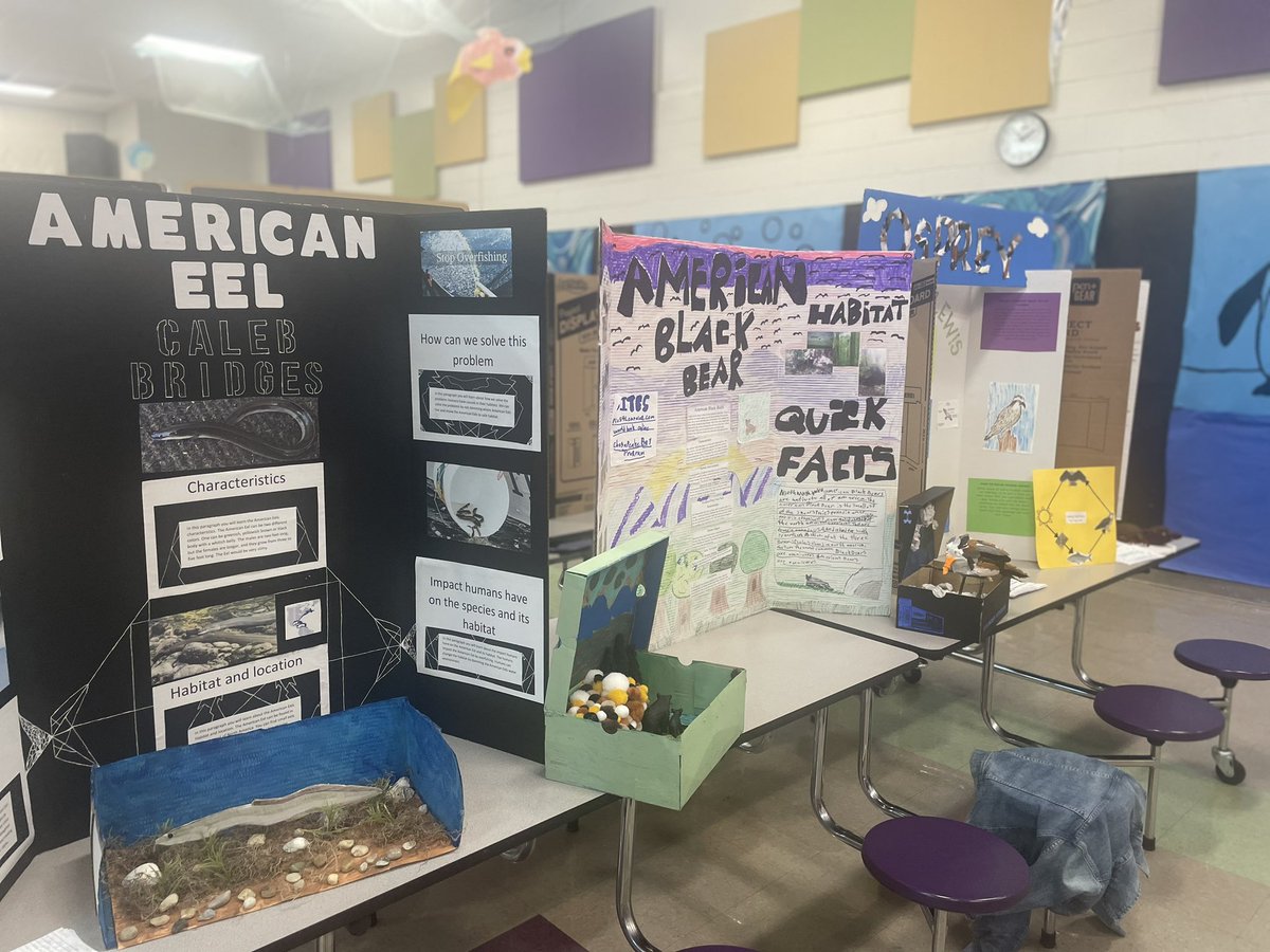 mslarimer's tweet photo. So proud of our fifth grader here at @WallerMillES . They worked so hard and loved sharing their projects! #ycsd https://t.co/gUZs2OZUmT
