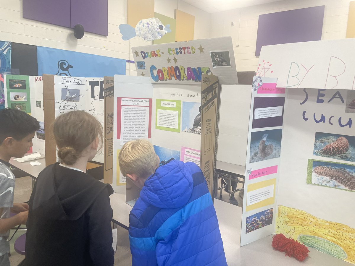 mslarimer's tweet photo. So proud of our fifth grader here at @WallerMillES . They worked so hard and loved sharing their projects! #ycsd https://t.co/gUZs2OZUmT