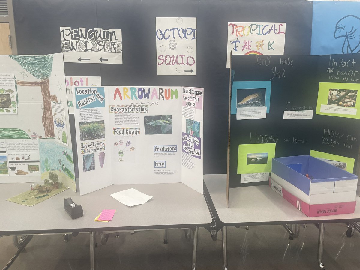 mslarimer's tweet photo. So proud of our fifth grader here at @WallerMillES . They worked so hard and loved sharing their projects! #ycsd https://t.co/gUZs2OZUmT